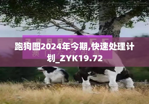 跑狗图2024年今期,快速处理计划_ZYK19.72