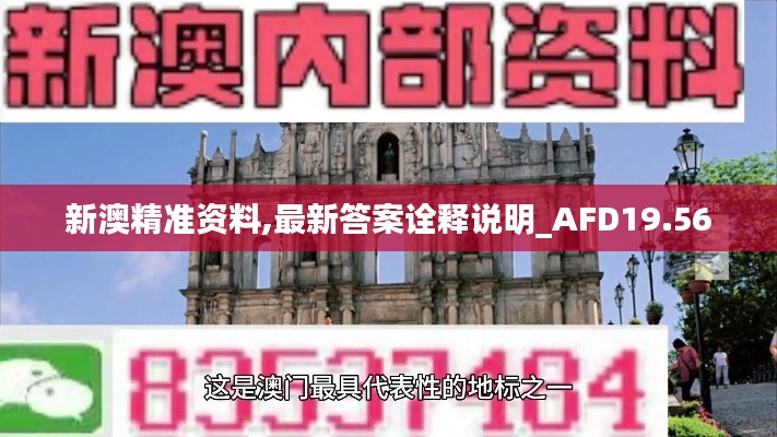 新澳精准资料,最新答案诠释说明_AFD19.56