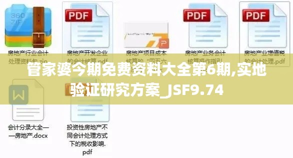 管家婆今期免费资料大全第6期,实地验证研究方案_JSF9.74