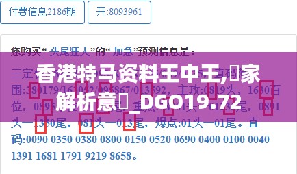 香港特马资料王中王,專家解析意見_DGO19.72