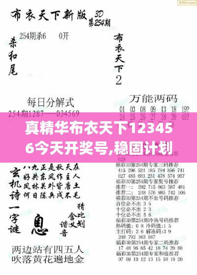 真精华布衣天下123456今天开奖号,稳固计划实施_YZN9.53