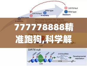 贵不召骄