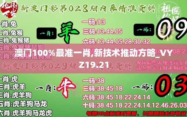 澳门100%最准一肖,新技术推动方略_VYZ19.21