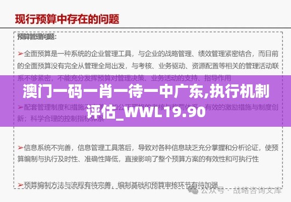 澳门一码一肖一待一中广东,执行机制评估_WWL19.90