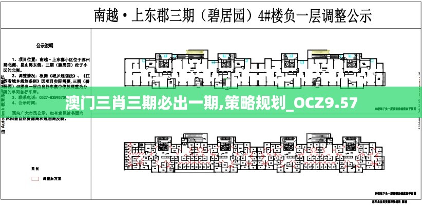 澳门三肖三期必出一期,策略规划_OCZ9.57