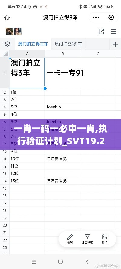 一肖一码一必中一肖,执行验证计划_SVT19.20