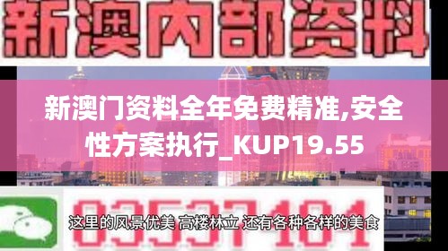 新澳门资料全年免费精准,安全性方案执行_KUP19.55