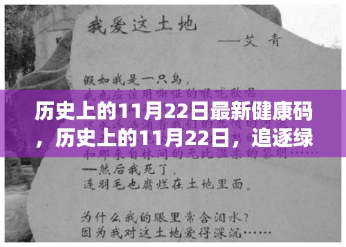 历史上的11月22日，追逐绿色健康码的奇妙自然之旅探索最新健康码动态