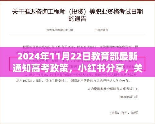 2024年高考政策最新动态揭秘，教育部通知一网打尽，小红书全面分享