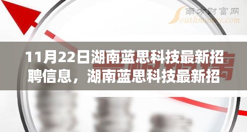 湖南蓝思科技最新招聘信息全攻略，获取与应聘指南（初学者与进阶用户适用）