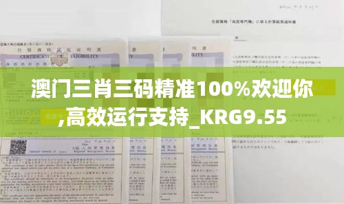 澳门三肖三码精准100%欢迎你,高效运行支持_KRG9.55