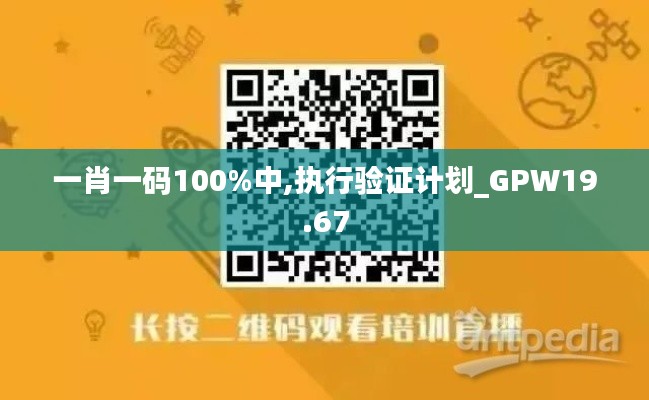 一肖一码100%中,执行验证计划_GPW19.67