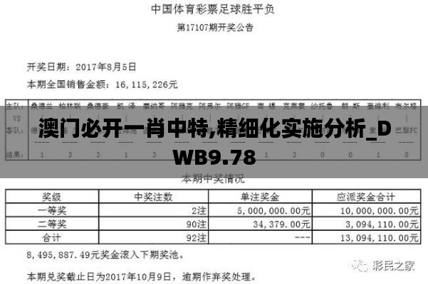 澳门必开一肖中特,精细化实施分析_DWB9.78