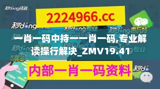 一肖一码中持一一肖一码,专业解读操行解决_ZMV19.41