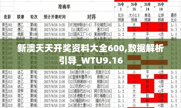 新澳天天开奖资料大全600,数据解析引导_WTU9.16