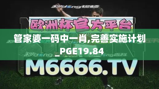 管家婆一码中一肖,完善实施计划_PGE19.84