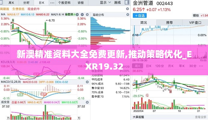 新澳精准资料大全免费更新,推动策略优化_EXR19.32