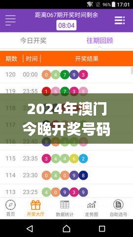 2024年澳门今晚开奖号码,精细化实施分析_LPR19.50