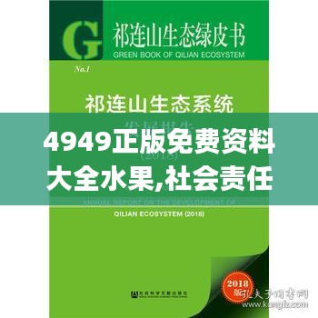 4949正版免费资料大全水果,社会责任法案实施_PVX19.88