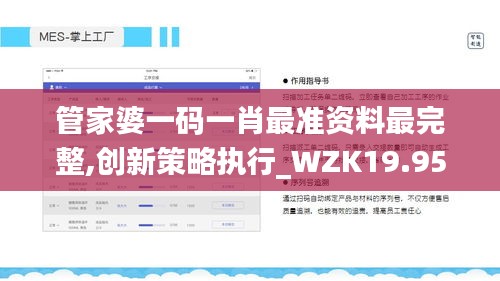 管家婆一码一肖最准资料最完整,创新策略执行_WZK19.95