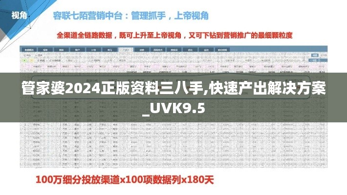 管家婆2024正版资料三八手,快速产出解决方案_UVK9.5