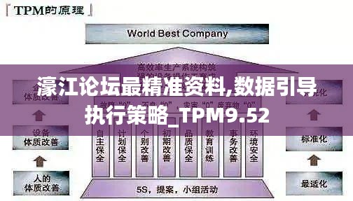 濠江论坛最精准资料,数据引导执行策略_TPM9.52