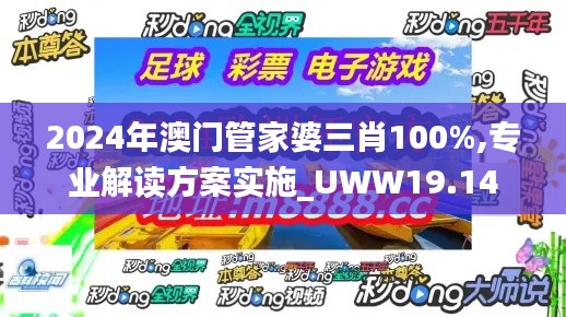 2024年澳门管家婆三肖100%,专业解读方案实施_UWW19.14