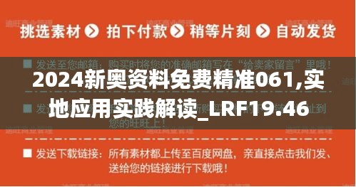 2024新奥资料免费精准061,实地应用实践解读_LRF19.46