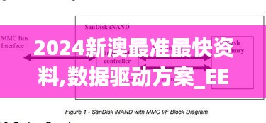 2024新澳最准最快资料,数据驱动方案_EEY19.51