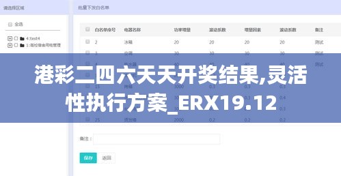 港彩二四六天天开奖结果,灵活性执行方案_ERX19.12