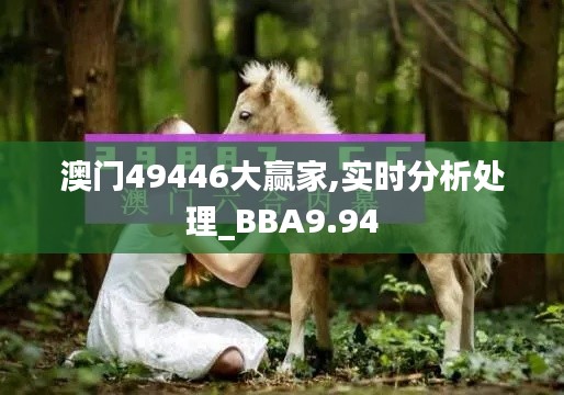 澳门49446大赢家,实时分析处理_BBA9.94