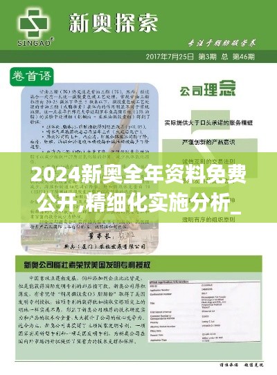 2024新奥全年资料免费公开,精细化实施分析_NPM19.27