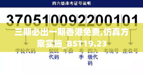 三期必出一期香港免费,仿真方案实施_BST19.23