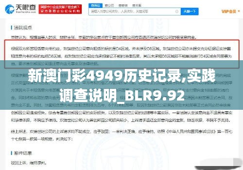 新澳门彩4949历史记录,实践调查说明_BLR9.92