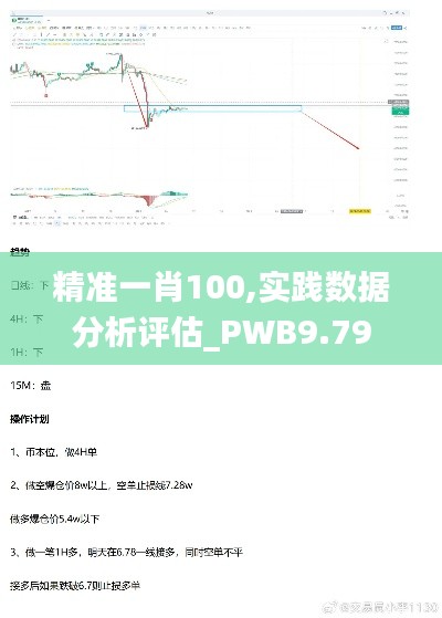 精准一肖100,实践数据分析评估_PWB9.79