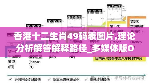 香港十二生肖49码表图片,理论分析解答解释路径_多媒体版OLB1.73