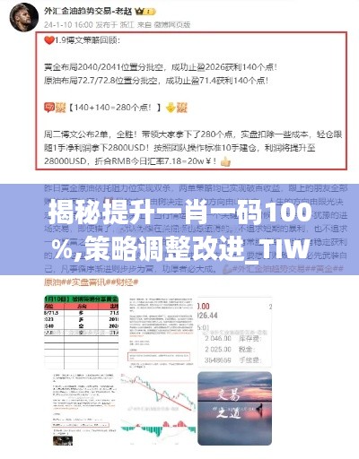 揭秘提升一肖一码100%,策略调整改进_TIW9.10