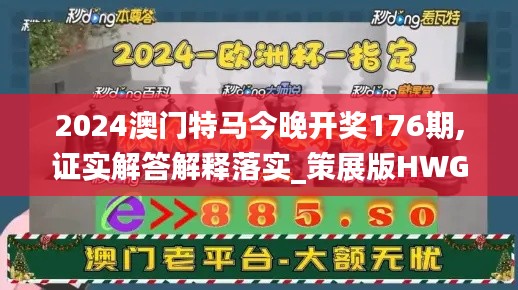 2024澳门特马今晚开奖176期,证实解答解释落实_策展版HWG7.13