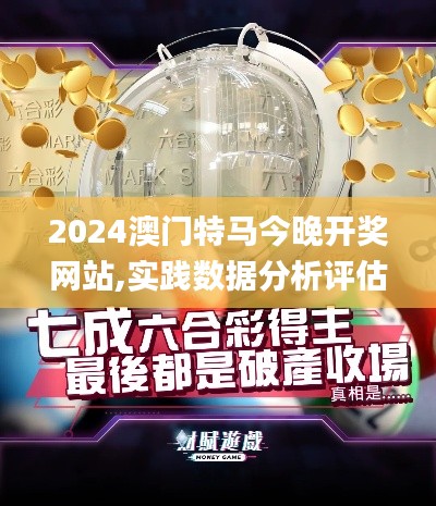 2024澳门特马今晚开奖网站,实践数据分析评估_HZM19.97