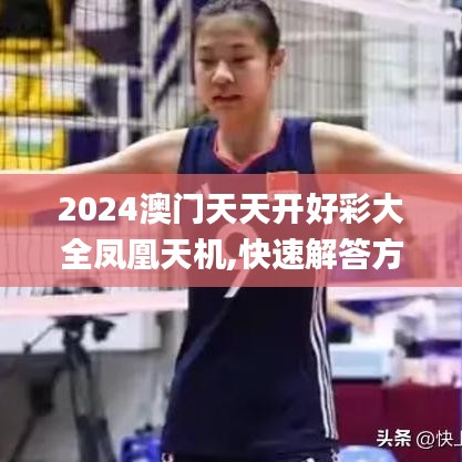 2024澳门天天开好彩大全凤凰天机,快速解答方案设计_AGT19.2