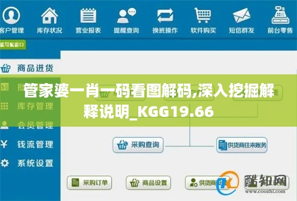 管家婆一肖一码看图解码,深入挖掘解释说明_KGG19.66