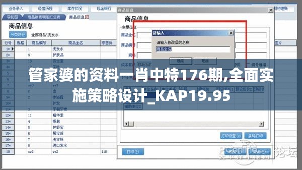 管家婆的资料一肖中特176期,全面实施策略设计_KAP19.95