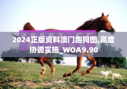 2024正版资料澳门跑狗图,高度协调实施_WOA9.90