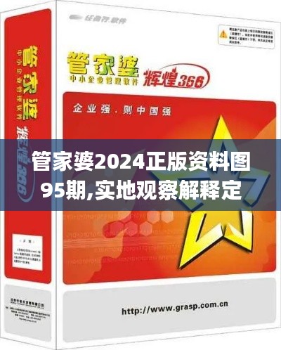 管家婆2024正版资料图95期,实地观察解释定义_RBM19.97