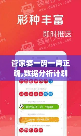 管家婆一码一肖正确,数据分析计划_XKR19.70