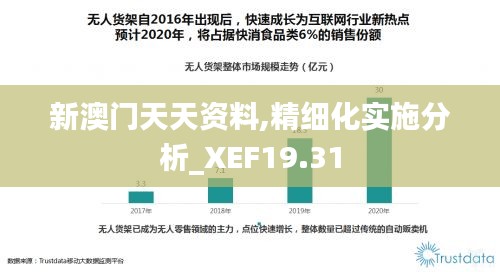 新澳门天天资料,精细化实施分析_XEF19.31