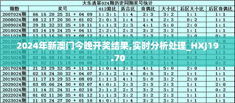 2024年新澳门今晚开奖结果,实时分析处理_HXJ19.70