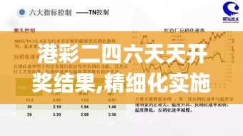 港彩二四六天天开奖结果,精细化实施分析_闪电版XCR5.52