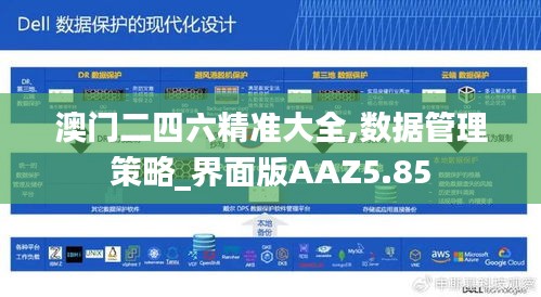 澳门二四六精准大全,数据管理策略_界面版AAZ5.85