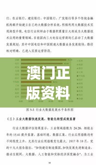 澳门正版资料大全免费噢采资,数据评估设计_百搭版HNX5.50